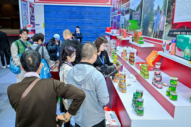 1733757261-ed8703c54743a25 1733757261-ed8703c54743a25